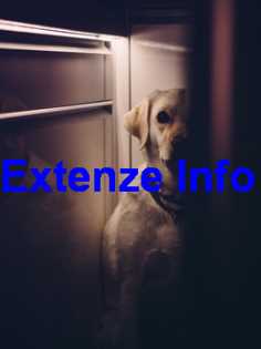 Extenze Ingredients List